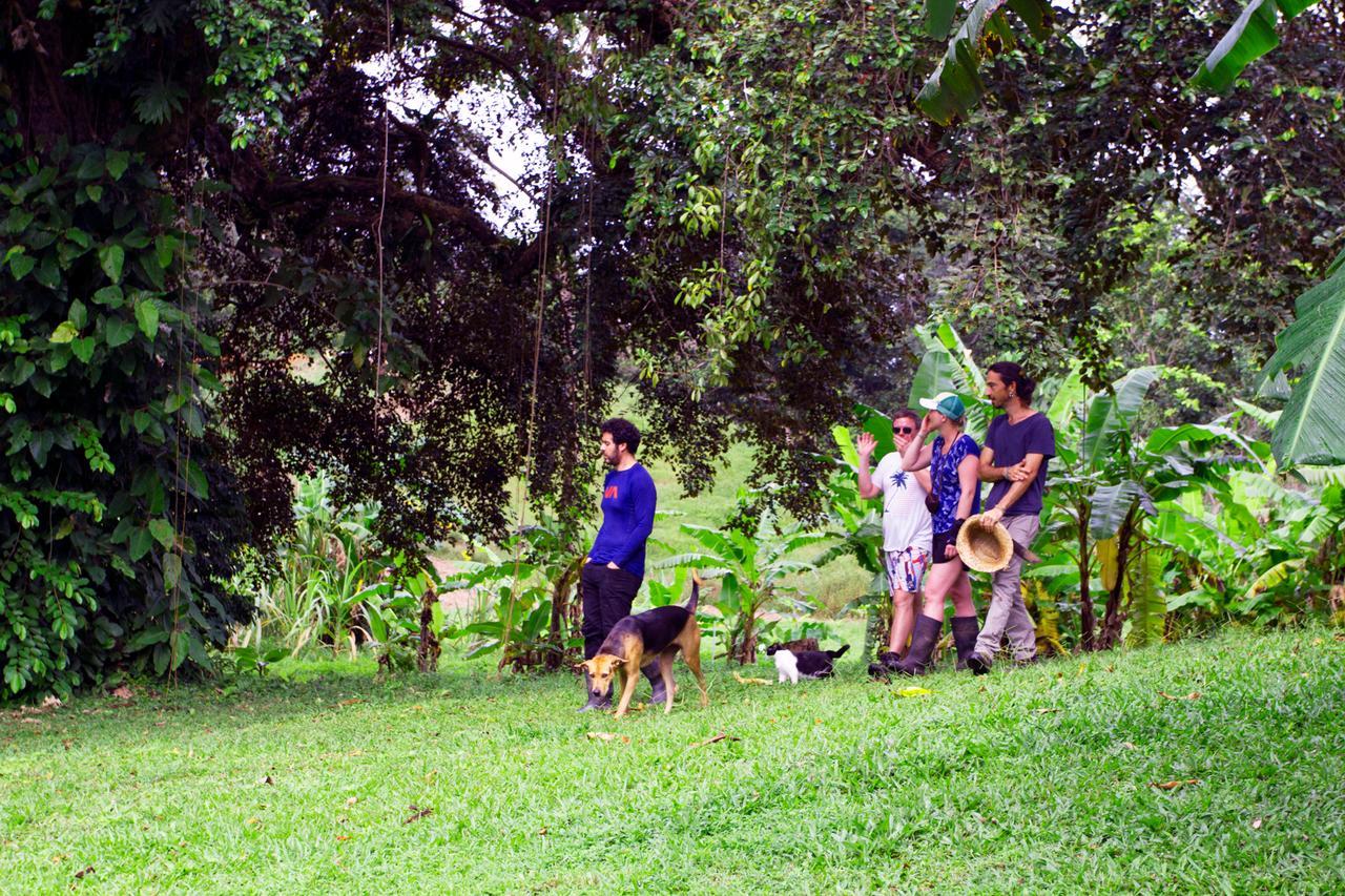 Villa El Caribeo Bocas del Toro Exterior foto